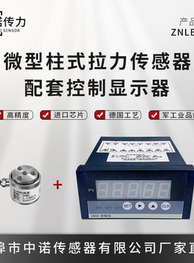 中诺传力ZNLBM 小尺寸磨合系列配显示仪表ZN5H