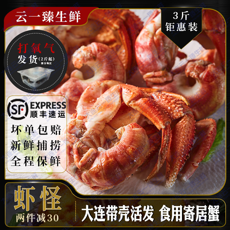 虾怪鲜活非即食寄居蟹食用新鲜带活虾