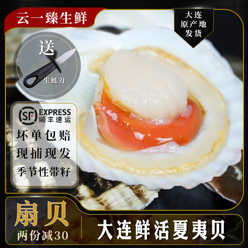 扇贝鲜活超大夏夷贝新鲜刺身大连元贝蒜蓉粉丝夏邑贝海鲜水产2斤