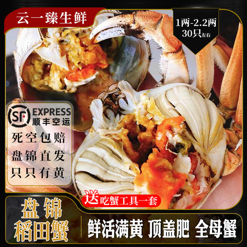 辽宁盘锦河蟹全母稻田蟹16只礼盒1.8-2.2两特大鲜活母螃蟹大闸蟹