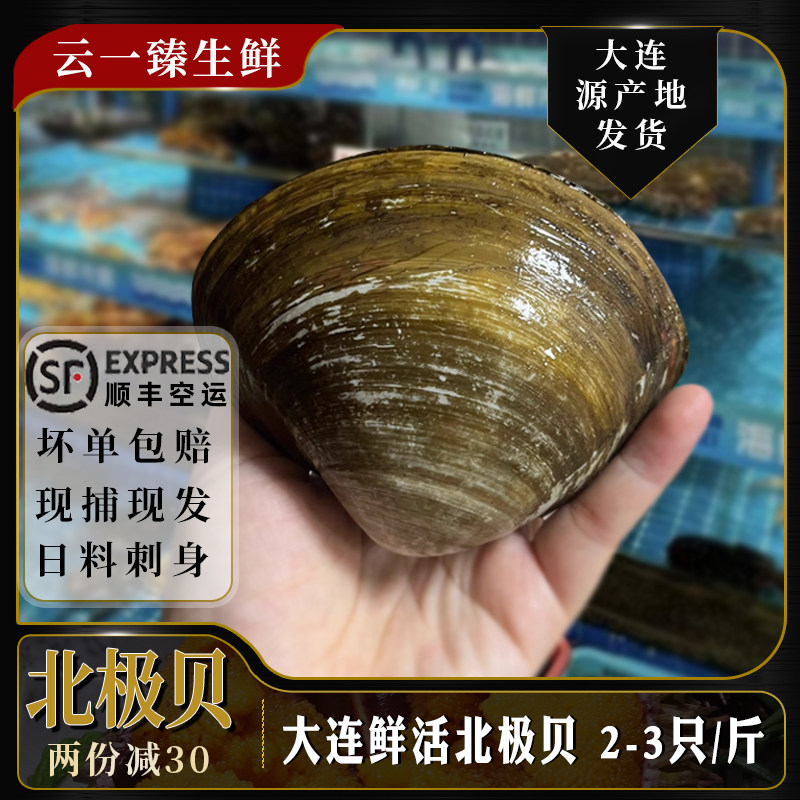 鲜活大个北极贝片新鲜海鲜刺身即食兰花蚌马季贝类日料水产1000g,水产肉类/新鲜蔬果/熟食,北极贝,淘宝优惠券,粉丝福利购,淘宝优惠卷