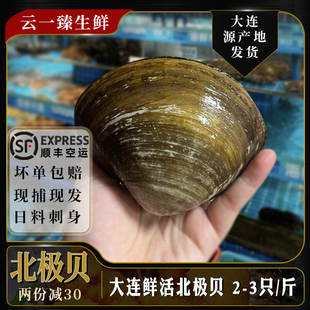 鲜活大个北极贝片新鲜海鲜刺身即食兰花蚌马季贝类日料水产1000g