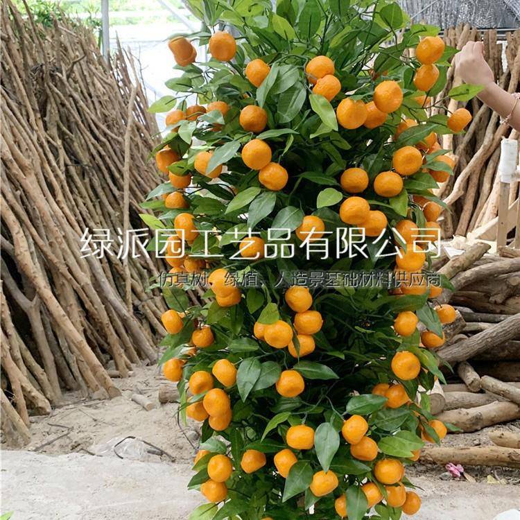 仿真橘子树装饰荔枝造景布景盆栽绿植柚子树蓝花楹盆栽装饰