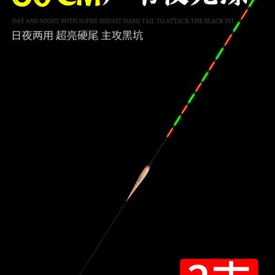 60公分超长芦苇电子夜光漂高灵敏日夜两用黑坑鲤鱼翘嘴行程漂