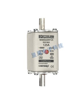 全新保险丝熔断器NH000GG50V40 50 63 N212463 T212974 E213996