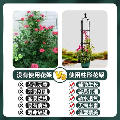 U型园艺爬藤架钢管包塑花架月季花铁线莲植物攀爬架子花盆支架杆