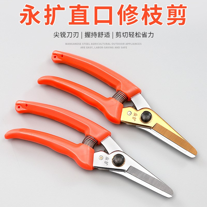 园艺修枝修花剪园林剪刀修花盆栽剪粗枝果树剪修枝剪省力剪枝剪刀