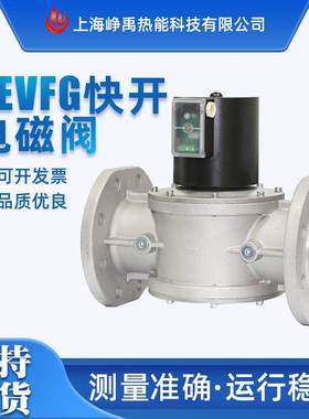 直动膜片式截止阀电磁阀 Madewelle系列DEVFG法兰快开单电磁阀