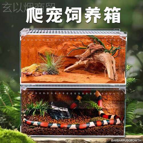 亚防克力一体爬饲养盒漏水爬宠生态箱蜘蛛角蛙守动宫87937蛇行物