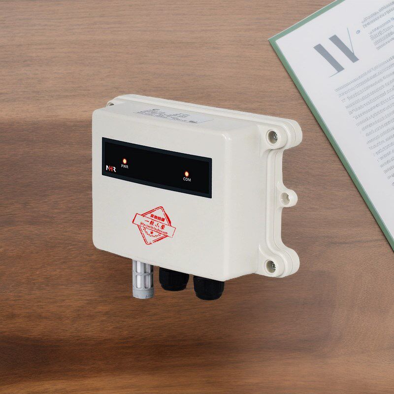 虹润WS11壁挂式仪表温湿度露点一体化传感器检测显示表NHR-WS20