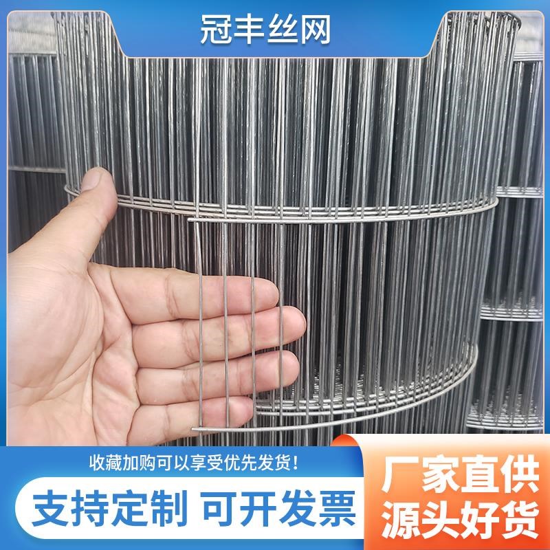加粗镀锌小长孔电焊网铁丝网片网格丝养殖卷网鸡鸽笼鸟笼阳台垫底