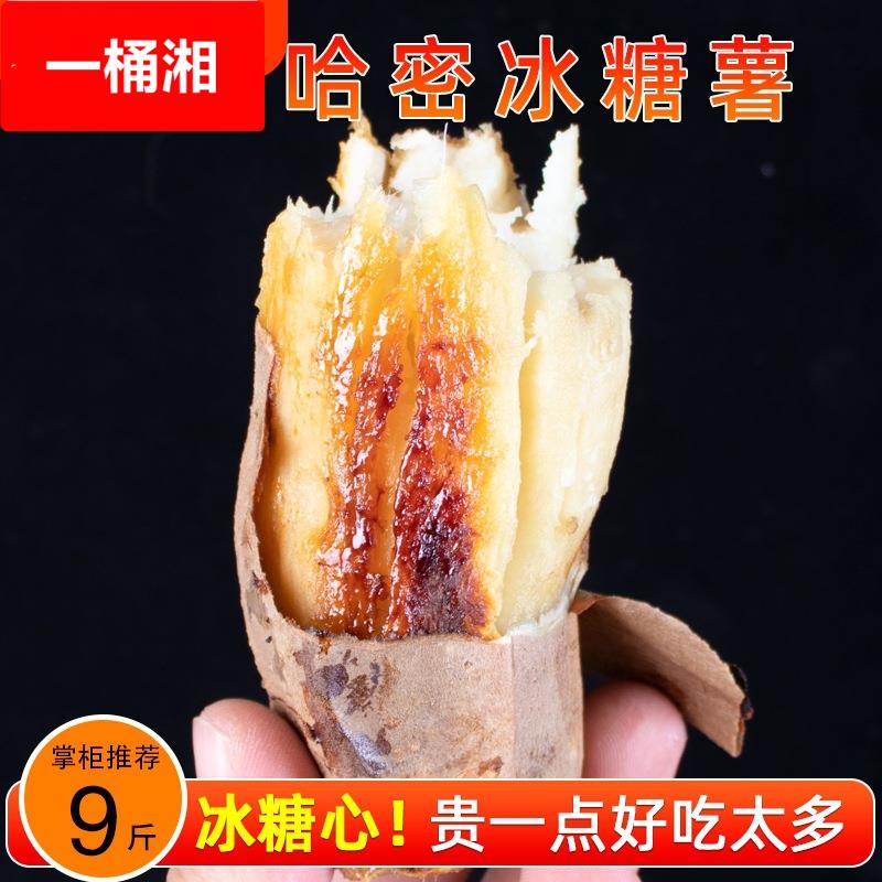 山东哈密冰糖薯新鲜白心蜜薯糖心红薯超甜农家自种沙地番地瓜9斤