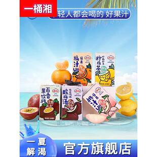 摩奇饮料水蜜桃夏日解暑宿舍火锅店桃子汁柠檬茶百香果橘汁果汁