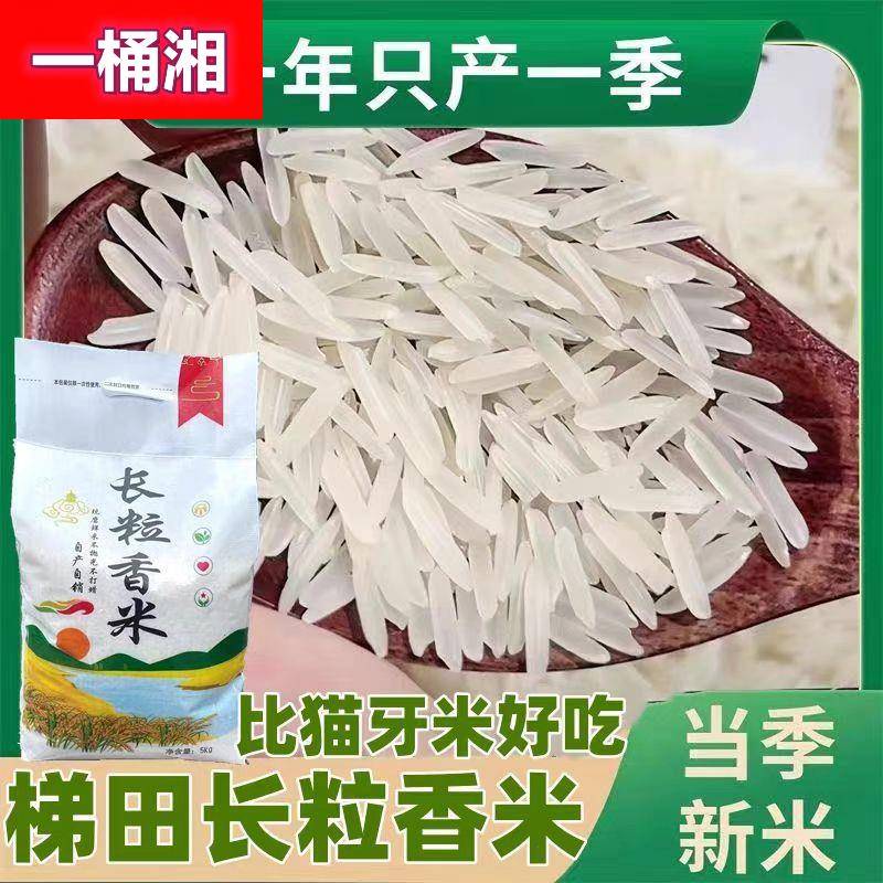 新米贵州梯田长粒香米晚稻农家米自种软米长粒香米细粒长米10斤