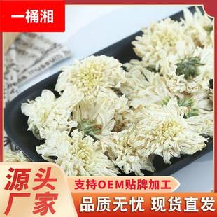 黄山贡菊白菊花干七月菊新货黄山贡菊白菊花散装500g菊花茶叶