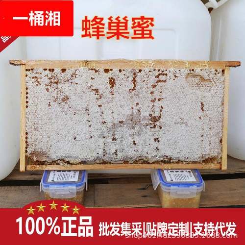 农家自产新鲜蜂巢蜜500g成熟全封盖荆条蜂巢蜜山花蜂蜜土特产