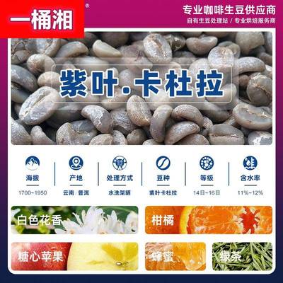 卡杜拉咖啡生豆 云南紫叶卡杜拉小粒咖啡 普洱水洗精品咖啡豆