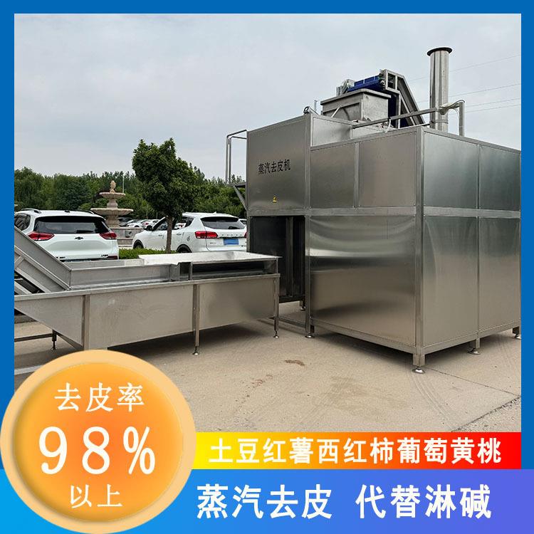 全自动葡萄蒸汽去皮机生姜物理高温爆皮机葡萄去皮机