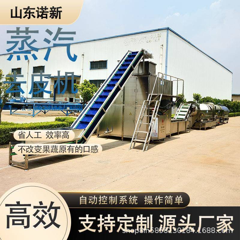 诺新不锈钢全自动蒸汽去皮机小土豆快速脱皮设备苹果丁加工削皮