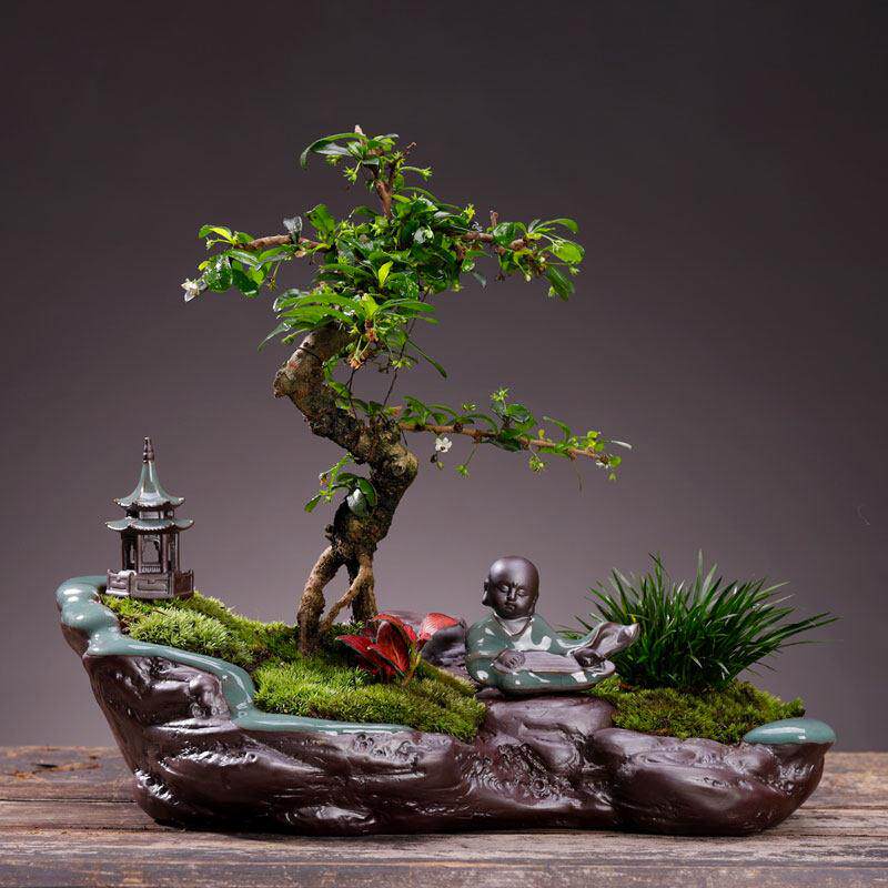 创意发财树绿植客厅玄关家居饰品办公桌面酒柜装饰富贵竹摆件