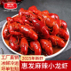 工厂直发 惠发麻辣小龙虾25年新虾加热即食商用小龙虾新鲜夜宵