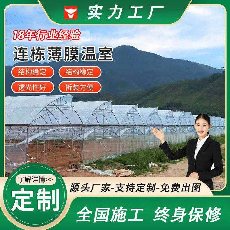 连栋薄膜温室大棚瓜果蔬菜种植棚塑料连体大棚智能温室大棚