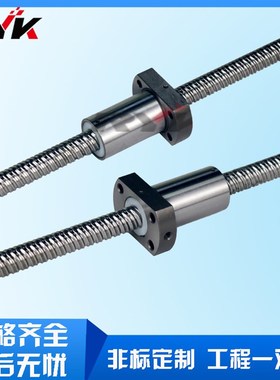 高导程式FSE2020滚珠丝杠 不锈钢GTEN滚珠丝杆 传动丝杆厂家