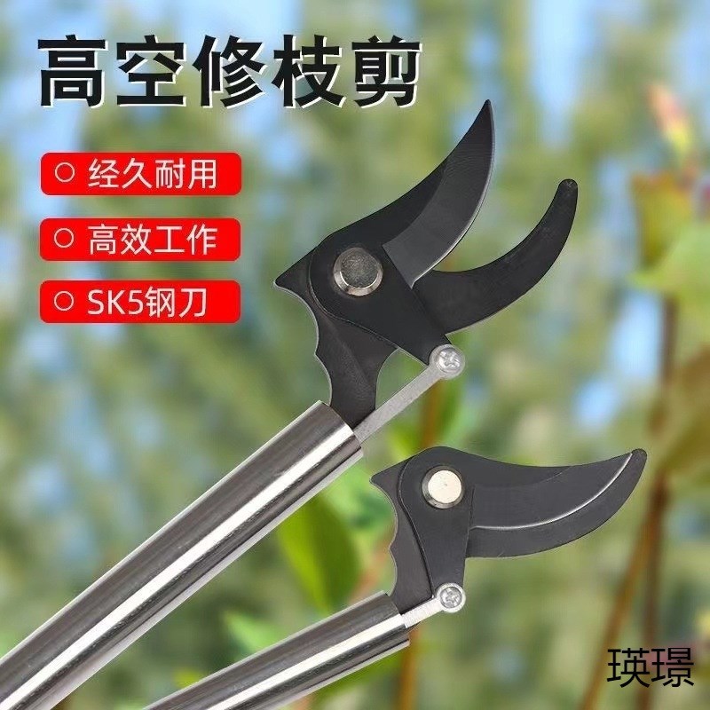 槐花剪高枝剪修枝剪不锈钢修剪园林疏花稀果剪枝槐米加长杆高空剪