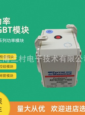 全新熔断器保险丝D71GB60V200EF/D302706 D71GB60V250EF/D302223