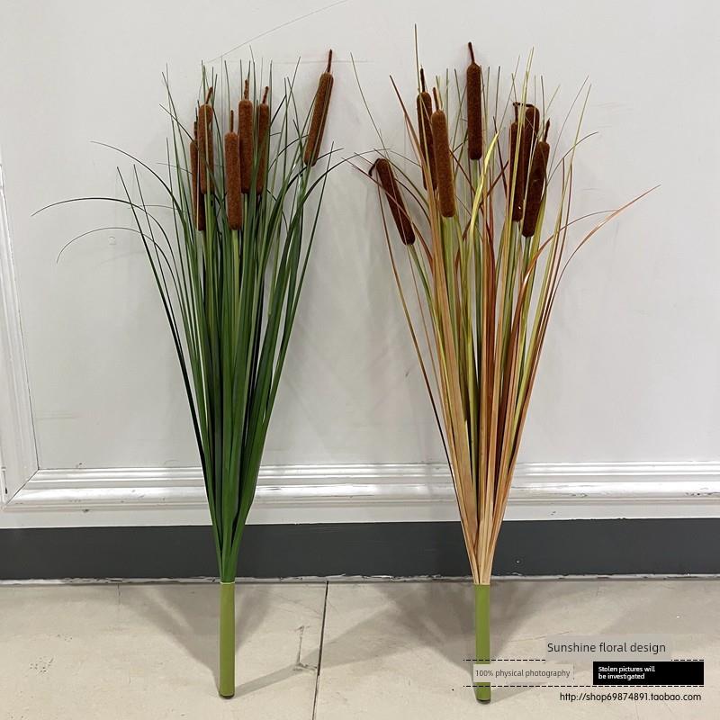 彷真芦苇蒲棒水草绿植把束蒲公英 香蒲棒水蜡烛 狗尾草 圆球柄草