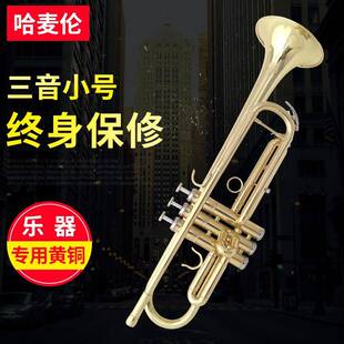哈麦伦小号铜管西洋乐器降B调三音小号初学演奏电泳金三音小号