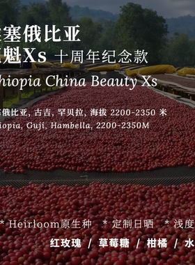 【AC Coffee】十周年纪念款花魁XS埃塞俄比亚罕贝拉手冲咖啡豆