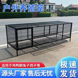 鸡笼家用室外防鼠黄鼠狼饲养笼加密加厚防雨鸭兔芦丁鸽子养殖笼