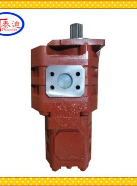 P257-G634872GA67/P124-G20ZNG双联泵  柳工862装载机双联齿轮泵