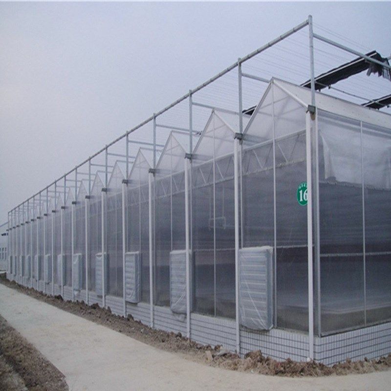 新型高科技实用型阳光板温室大棚全自动控制钢管骨架设计智能温室