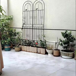 简约户外绿萝花架户外栏杆月季 花园铁艺植物花架子 花攀爬架落地式