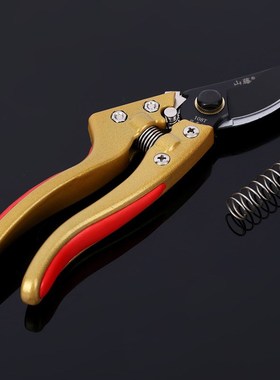 厂家直销果枝剪108T修枝剪 园林工具果树剪修花剪 盆景园艺剪