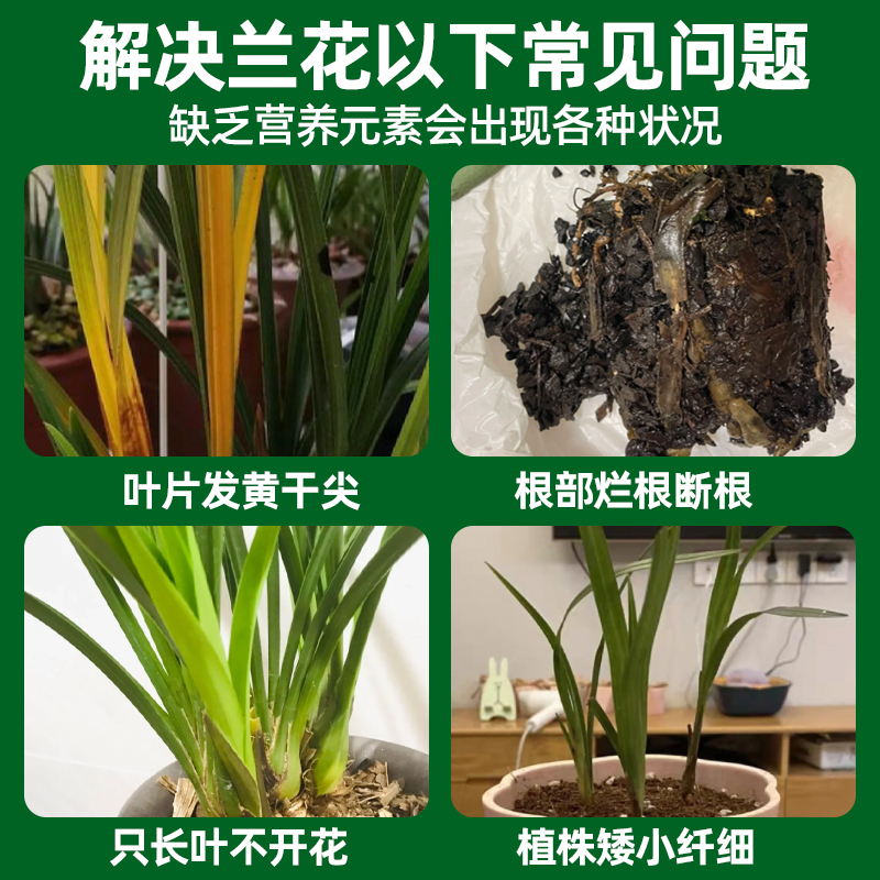 兰灵王兰花多箭素爆芽素专用营养液蝴蝶兰促花开花肥料杀菌多剑素