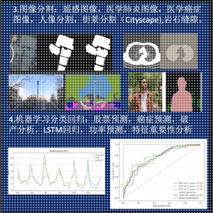 python深度学习图像分类识别检测机器学习算法语义分割GAN关键点