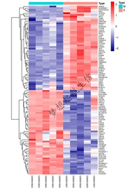 GEO,TCGA数据库挖掘,差异基因分析,火山图热图,网络药理学