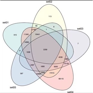 生物信息学转录组rna测序go功能分析gwas（不定期更新）