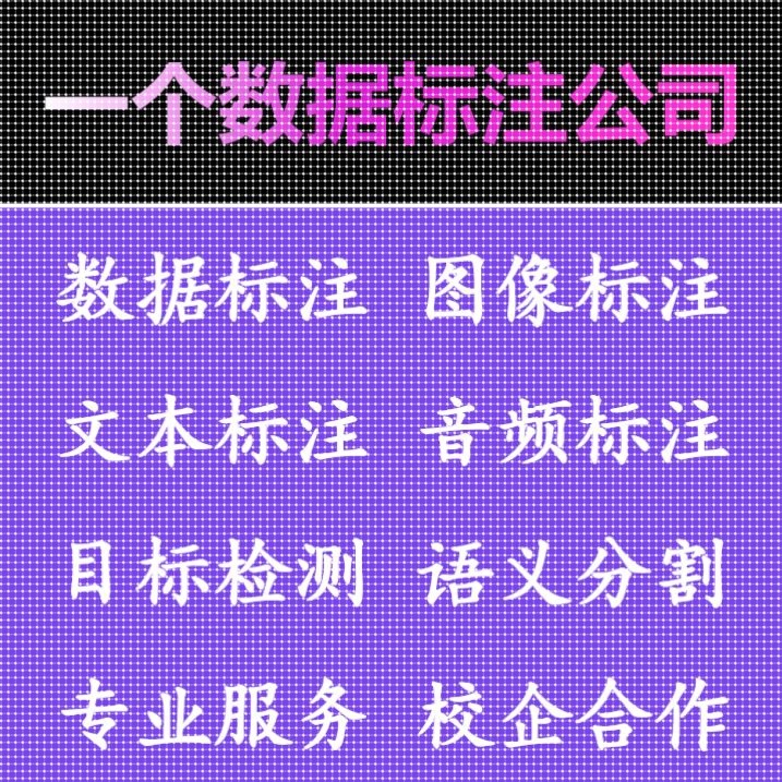 数据标注服务 图像标注 目标检测 语义分割 3D点云 英文文本标注