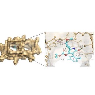 材料与分子对接