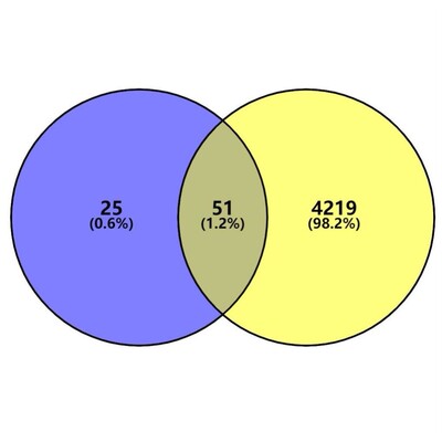 scRNAseq单细胞转录组测序数据生信分析生物信息科研服务Seurat