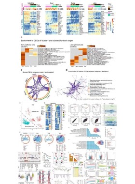 网络药理学 IF1-9 分中药复方分子对接 生信 SCI + 实验服务 医学