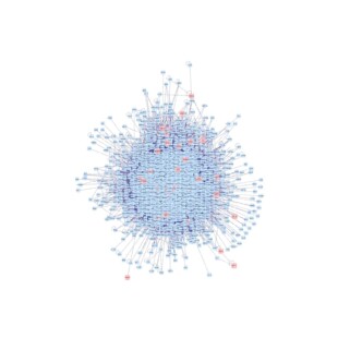 PPI蛋白网络互作分析,确定核心网络和靶点