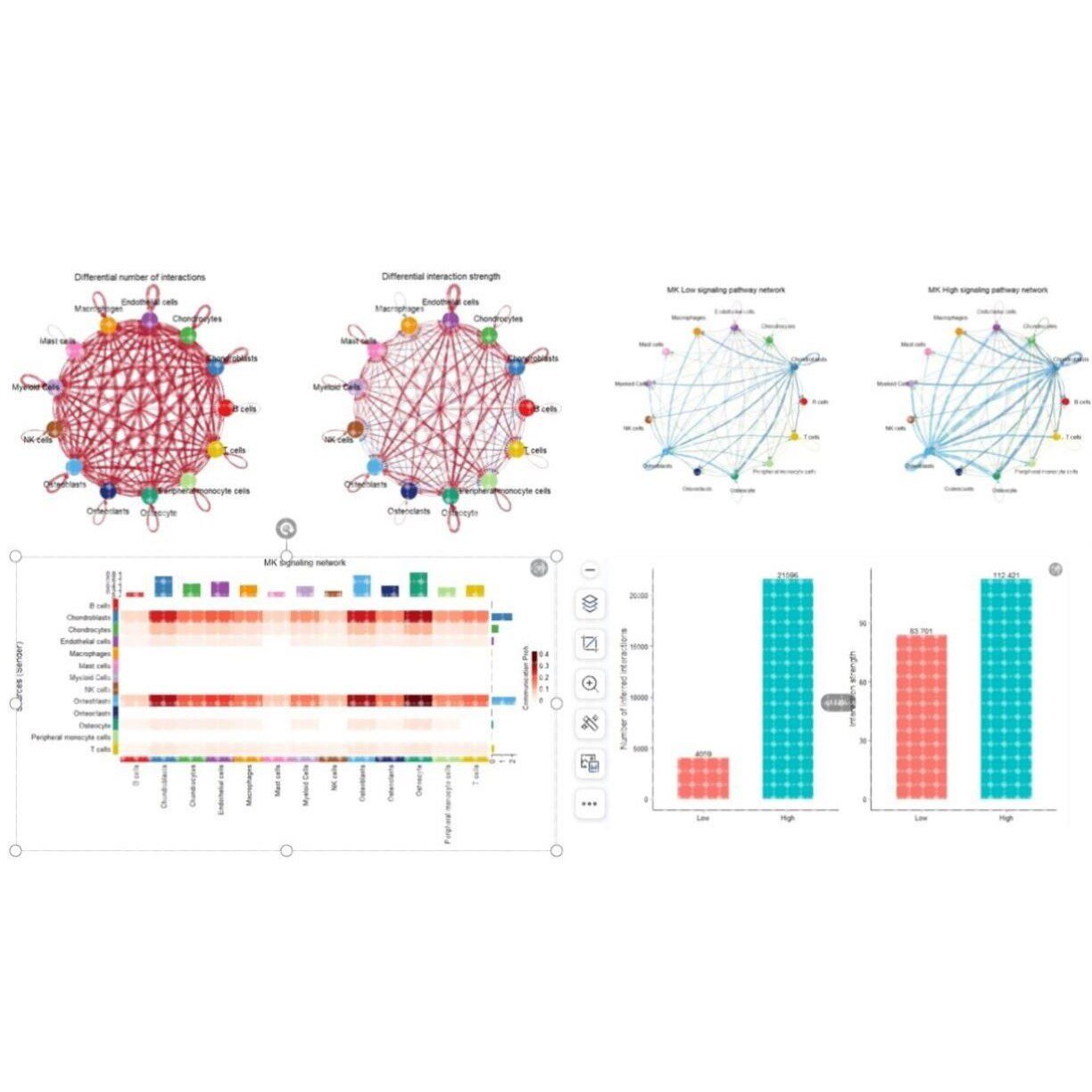 生信分析/单细胞测序分析/生物信息分析/细胞通讯分析/蛋白组学