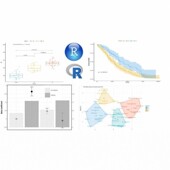 R程序 数据分析 R代码 R语言代做 数据挖掘 R数据处理统计回归代做