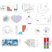 R语言 微生物组分析 代做