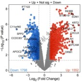 GEO 网络药理学 火山图热图 TCGA数据库挖掘 差异基因分析